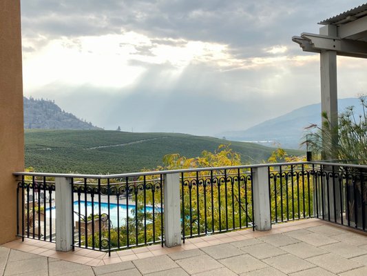 Burrowing Owl Estate Winery by null