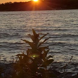 Niawanda Park Sunset Niawanda Park Sunset