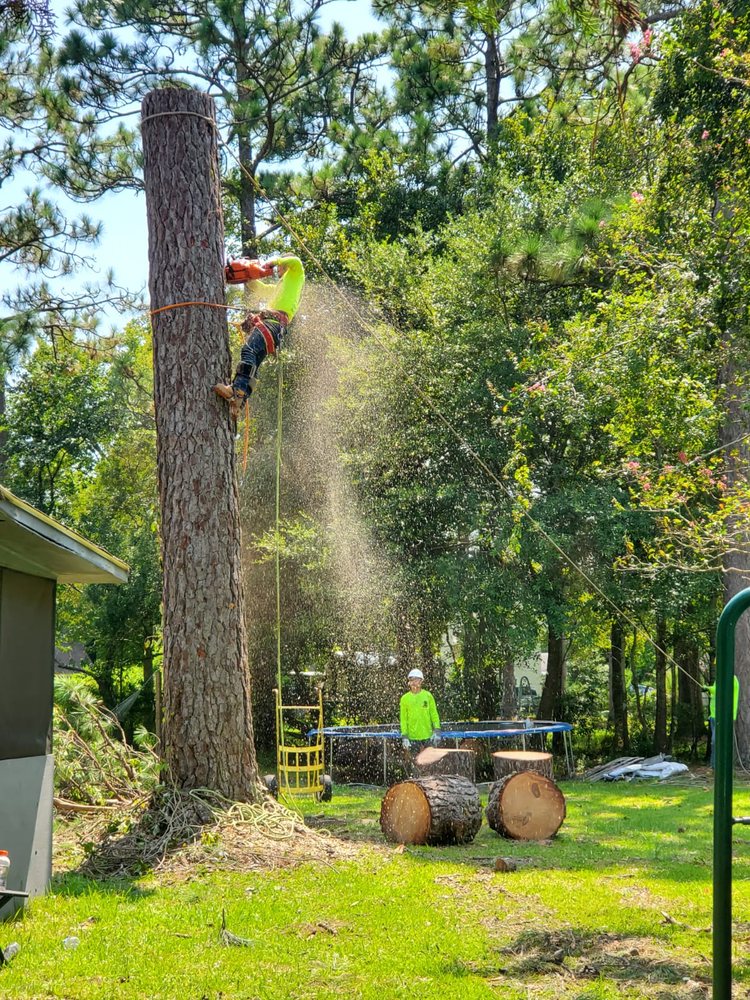 Best Friends Tree Service - tree service in Charleston, SC