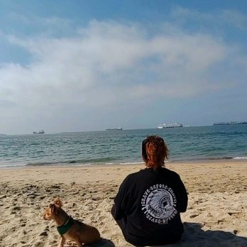 Rosie's Dog Beach - Dog Parks Near Me - Long Beach, California Rosie's Dog Beach - Dog Parks Near Me - Long Beach, California
