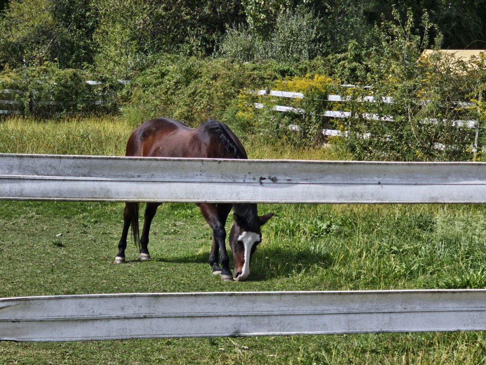 C.N. Smith Farm - beekeeping in East Bridgewater, MA