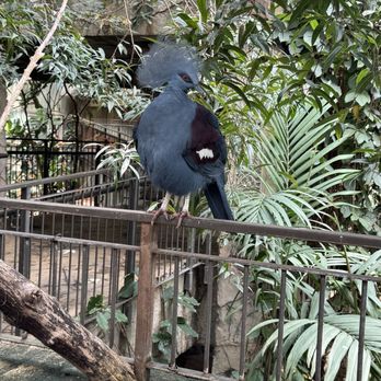 Bird Kingdom - Zoos Near Me - Niagara Falls, Ontario