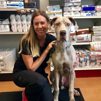Arnold Crescent Veterinary Hospital - Veterinarians Near Me - Richmond Hill, Ontario Arnold Crescent Veterinary Hospital - Veterinarians Near Me - Richmond Hill, Ontario