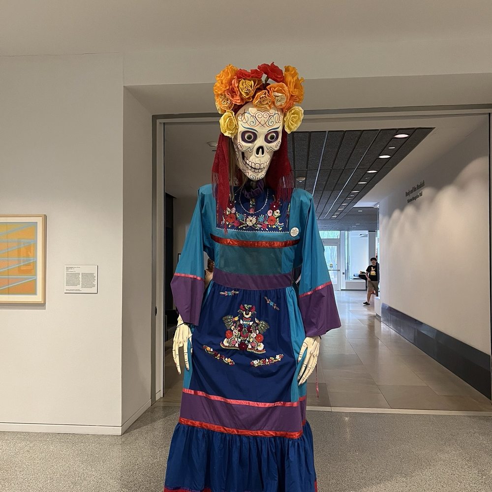 Phoenix Art Museum - Art Museums Near Me - Phoenix, Arizona