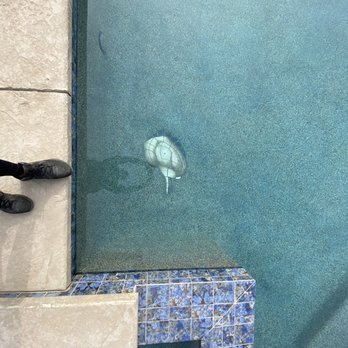 Lion Pools - Pool Cleaners Near Me - Clovis, California