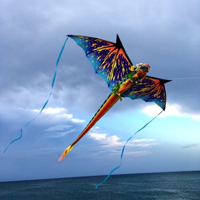 Kitty Hawk Kites by null