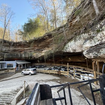 Rattlesnake Saloon - Bars Near Me - Tuscumbia, Alabama Rattlesnake Saloon - Bars Near Me - Tuscumbia, Alabama