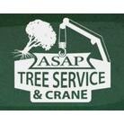 ASAP Tree and Crane Services - tree service in Indianapolis, IN