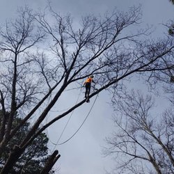 West Tree Service