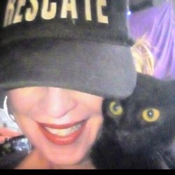 Bordertown Animal Rescue
