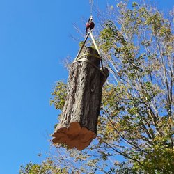 Bob's Tree Service