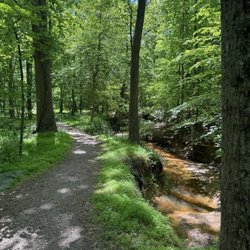 Greenbelt Park - The azalea trail is serene