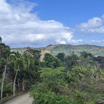 Sandra Farms - View - Coffee & Tea Near Me - Adjuntas, Puerto Rico