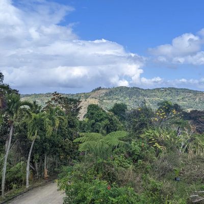 Sandra Farms Coffee by null