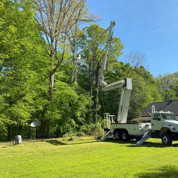 Belcher Tree Service - Tree Services Near Me