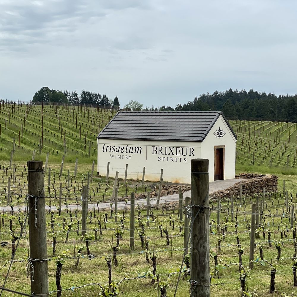 Trisaetum Winery - Wineries Near Me - Newberg, Oregon Trisaetum Winery - Wineries Near Me - Newberg, Oregon