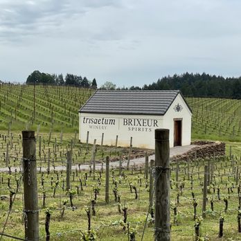 Trisaetum Winery - Wineries Near Me - Newberg, Oregon