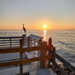 Bill Baggs Cape Florida State Park