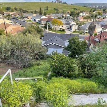 John’s Yard Clean-Up Service - Before their clearing - Landscaping Near Me