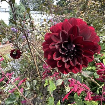 Wave Hill Public Garden - Venues & Event Spaces Near Me - Bronx, New York