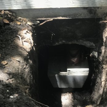 Bats Foundation Repair - Foundation Repair Near Me - Pflugerville, Texas Bats Foundation Repair - Foundation Repair Near Me - Pflugerville, Texas