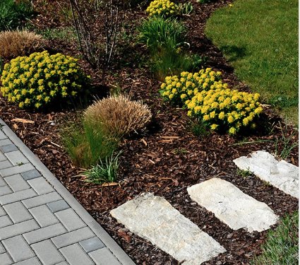 Mulching - Ayala Tree Services specializes in Tree Removal, Tree Cutting, Trimming, Stump Grinding/Removal, Mulching, Land Removal and Emergency Calls! Call or text now at 770-875-7909 Mulching - Ayala Tree Services specializes in Tree Removal, Tree Cutting, Trimming, Stump Grinding/Removal, Mulching, Land Removal and Emergency Calls! Call or text now at 770-875-7909
