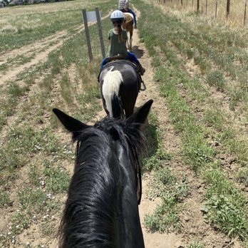 12 Mile Stables - Horseback Riding Near Me - Aurora, Colorado