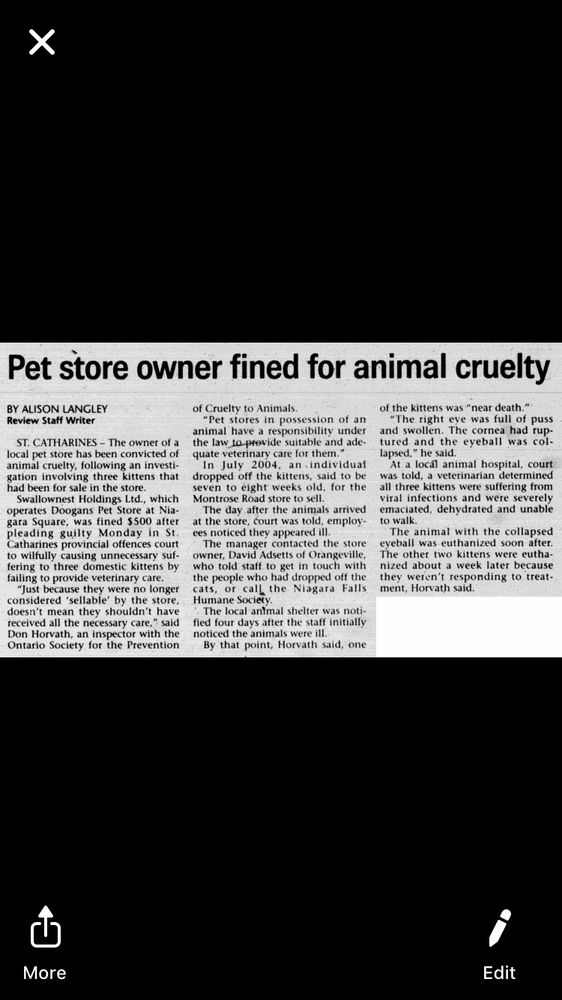 Doogans Pet Stores 39 Broadway Orangeville On Phone Number Yelp The legendary giant fire breathing canines that. doogans pet stores 39 broadway
