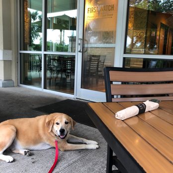 First Watch - Dog friendly patio and staff... - Breakfast & Brunch Near Me - Jacksonville, Florida