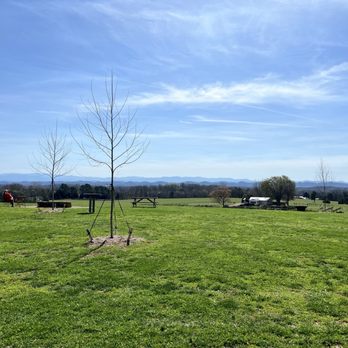Tsali Notch Vineyard - Venues & Event Spaces Near Me - Madisonville, Tennessee Tsali Notch Vineyard - Venues & Event Spaces Near Me - Madisonville, Tennessee