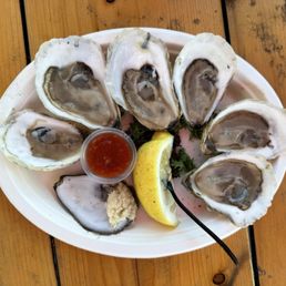 Oysters Oysters