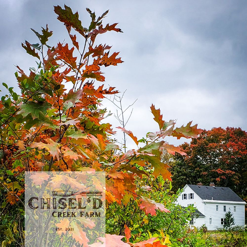 Chisel'd Creek Farm - tree service in Buxton, ME