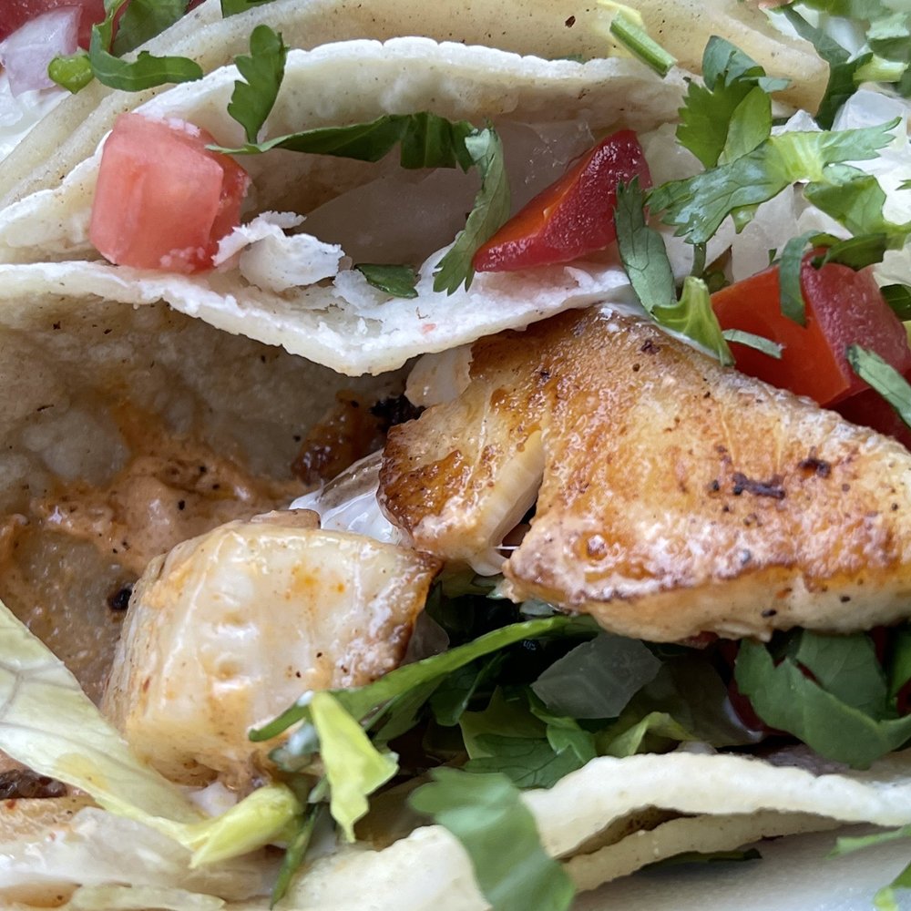 Rivera's Fresh Tacos - Grilled white fish tacos Fullerton - Mexican Near Me - Fullerton, California Rivera's Fresh Tacos - Grilled white fish tacos Fullerton - Mexican Near Me - Fullerton, California