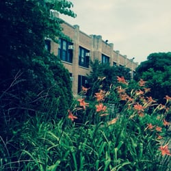 Newberry Math & Science Academy - Looking through the garden to Newberry Academy