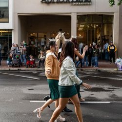 Apricot Lane Boutique
