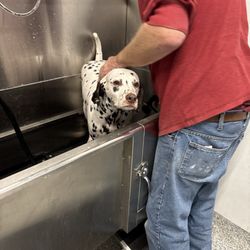 Tractor Supply - Ahh so clean! Freckles!