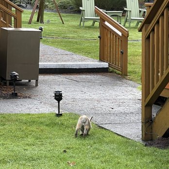 Inn At Cannon Beach - Bunny! - Hotels Near Me - Cannon Beach, Oregon Inn At Cannon Beach - Bunny! - Hotels Near Me - Cannon Beach, Oregon