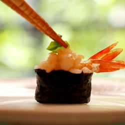 Sushi Yoshi