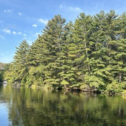 Dunromin Cottages By The Lake - Amazing view from the dock