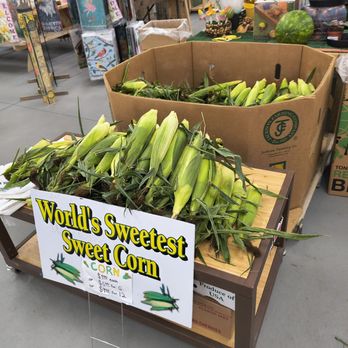 Salem Gardens - Specialty Food Near Me - South Lyon, Michigan Salem Gardens - Specialty Food Near Me - South Lyon, Michigan