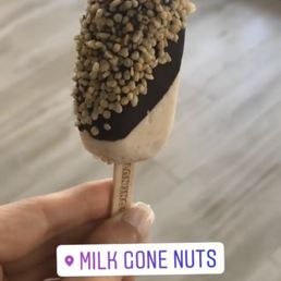 ice cream without milk and gluten free ice cream without milk and gluten free