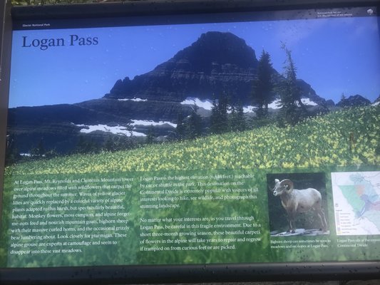 Apgar Visitor Center by null