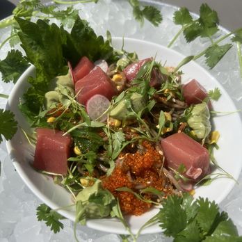 Fishing With Dynamite - Chilled Soba Noodle Salad with bluefin tuna - Seafood Near Me - Manhattan Beach, California