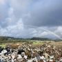 A1 Junk Removal Services