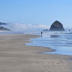 Infinite Oregon Tours