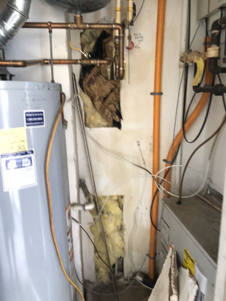 Slide of Atlantic Replumbing