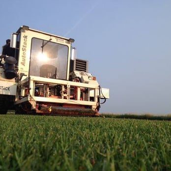 HD Sod - "Want some good grass?" - Nurseries & Gardening Near Me - Hugo, Minnesota HD Sod - "Want some good grass?" - Nurseries & Gardening Near Me - Hugo, Minnesota