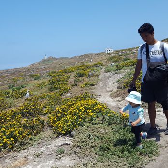 Anacapa Island - Landmarks & Historical Buildings Near Me Anacapa Island - Landmarks & Historical Buildings Near Me