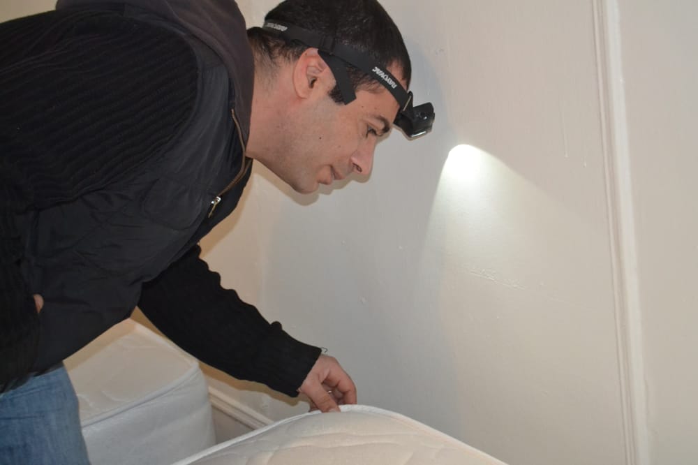 QUEENS VILLAGE EXTERMINATOR Updated June 2024 Queens Village, New