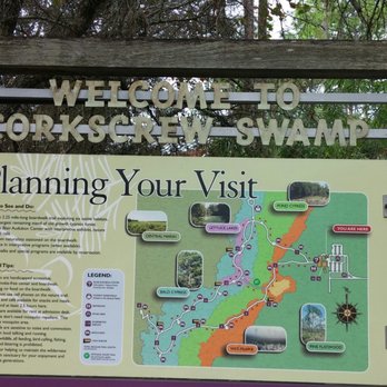 Audubon's Corkscrew Swamp Sanctuary - Path well marked - Hiking Near Me - Naples, Florida Audubon's Corkscrew Swamp Sanctuary - Path well marked - Hiking Near Me - Naples, Florida